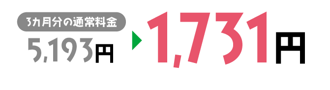 3カ月分の通常料金 5,193円が1,731円